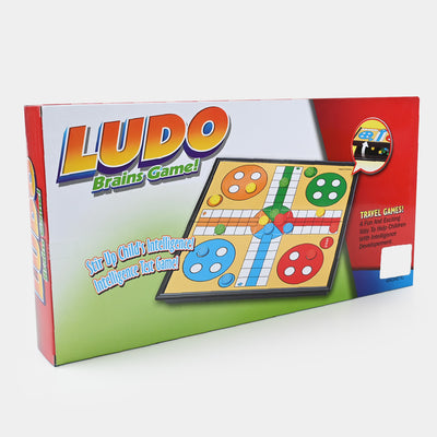 Magnetic Ludo Brains Game! For Kids-Medium
