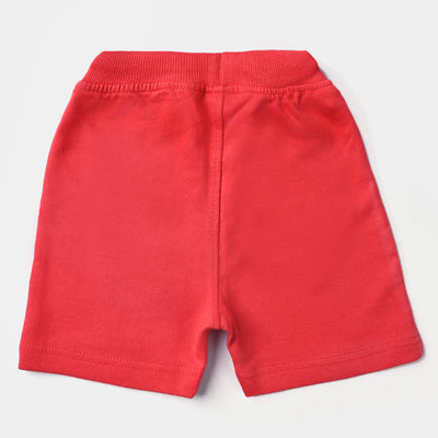 Infant Boys Cotton Terry Knitted Short Basic -B.Red