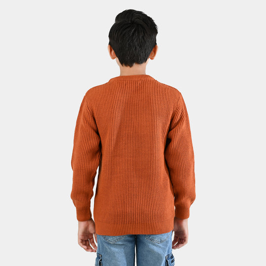 Boys Feather-Acrylic Sweater-New York-BROWN