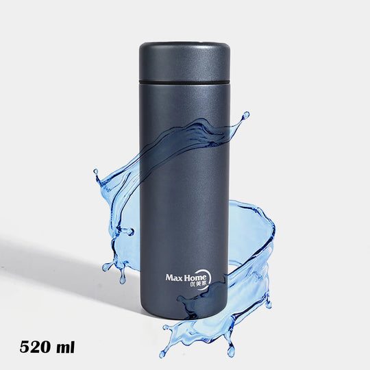 WATER BOTTLE STAINLESS STEEL | 520Ml