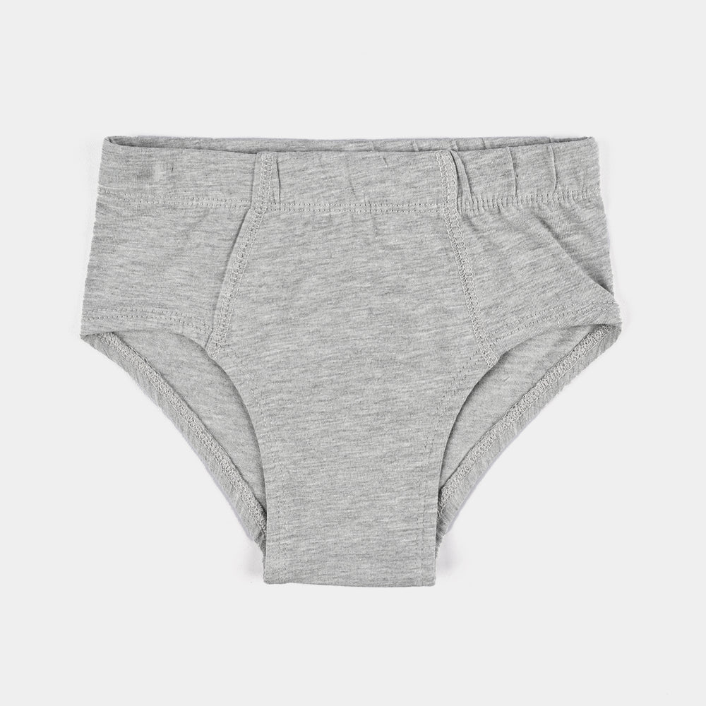Boys Cotton Jersey Brief Basic-Pack of 2-H.Grey/Black