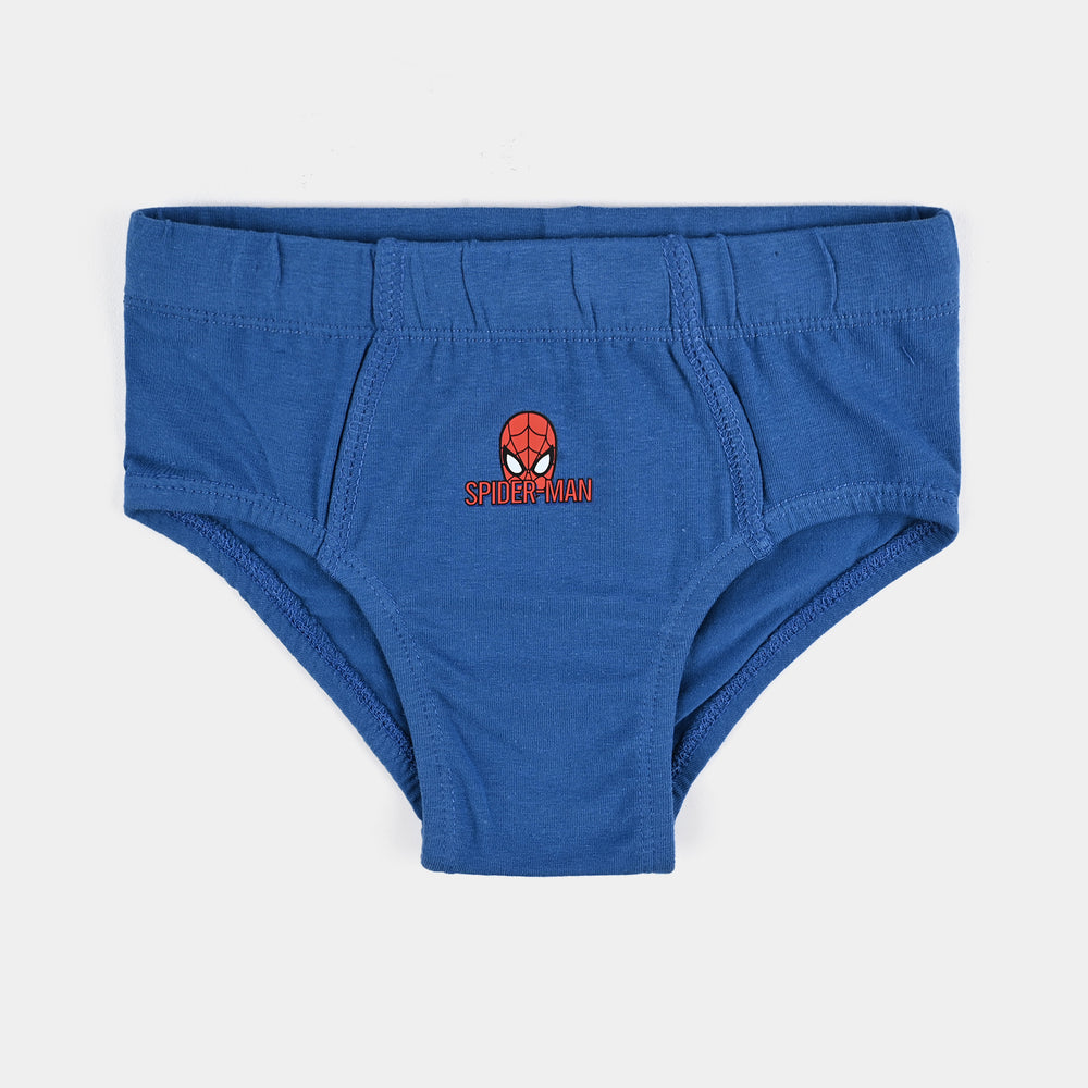 Boys Cotton Jersey Brief-Pack of 2-H.Grey/Blue