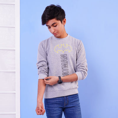 Teens Boys Character Sweater - Grey