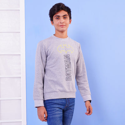 Teens Boys Character Sweater - Grey