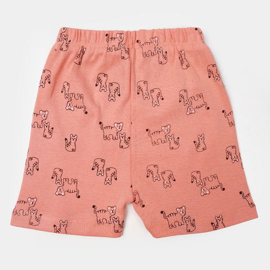 Infant Boys Rib Short 3PCs Little Adventure
