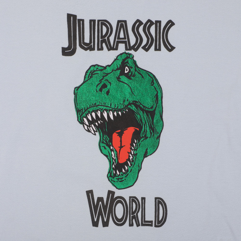Boys Cotton T-Shirt Jurassic World - Ancient White