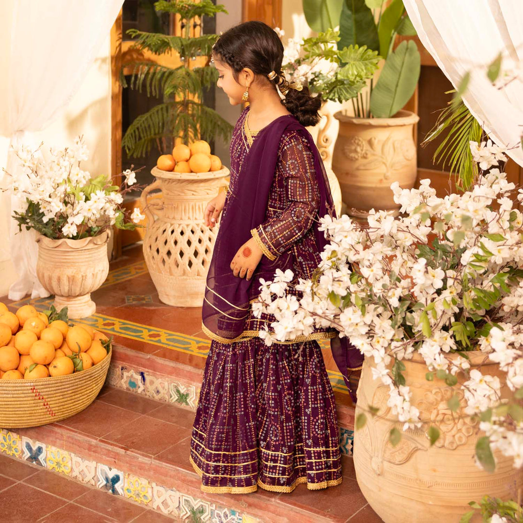 Girls Chiffon 3Pcs Sona Rani - Purple