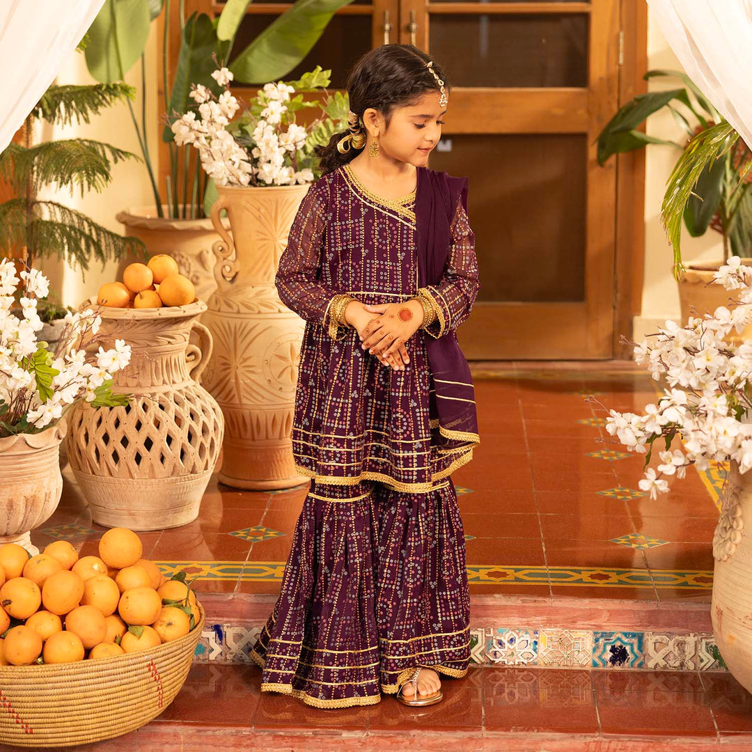 Girls Chiffon 3Pcs Sona Rani - Purple