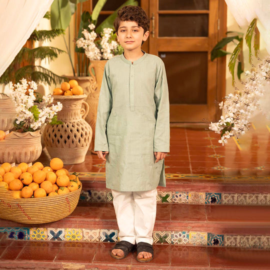 Boys Cotton Slub Embroidered Kurta (Palm Tree) - Light Green