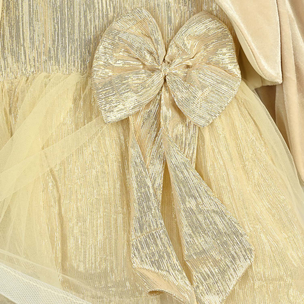 Infant Girls Organza Fancy Frock Glittery-BEIGE