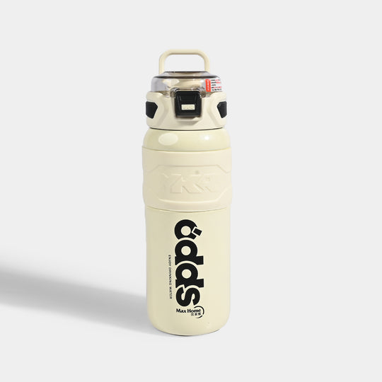 WATER BOTTLE STAINLESS STEEL | 680Ml