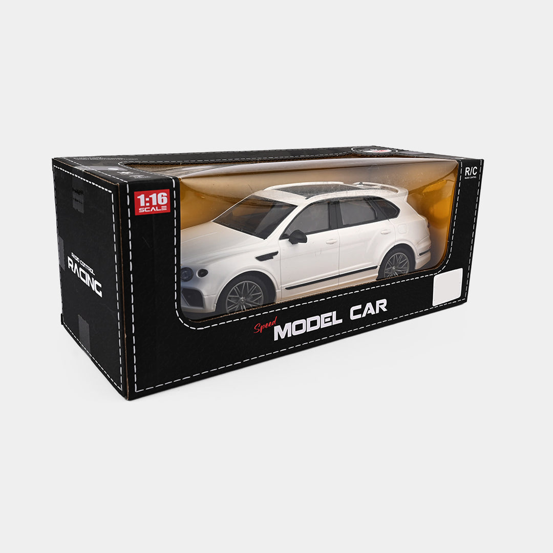 1:16 Scale RC Model Car