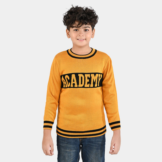 Boys Acrylic Sweater-Academy-Citrus