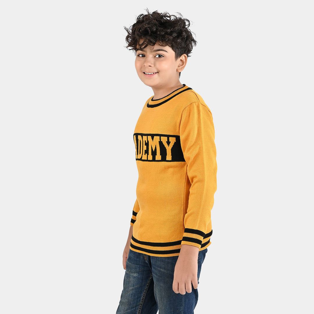 Boys Acrylic Sweater-Academy-Citrus