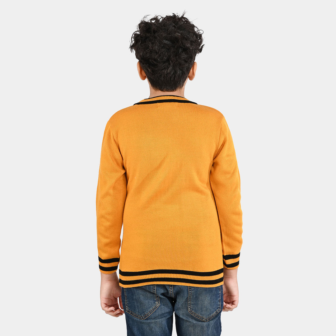 Boys Acrylic Sweater-Academy-Citrus