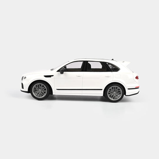 1:16 Scale RC Model Car