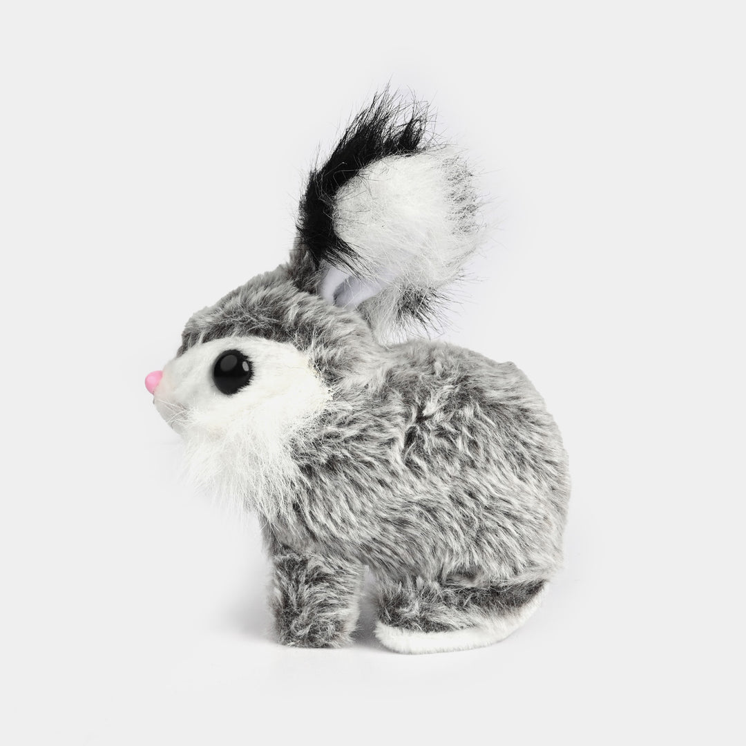 Sound Music & Walking Rabbit for Kids