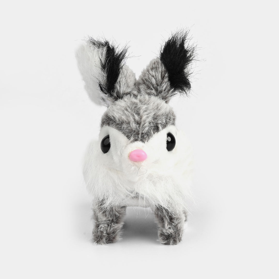 Sound Music & Walking Rabbit for Kids