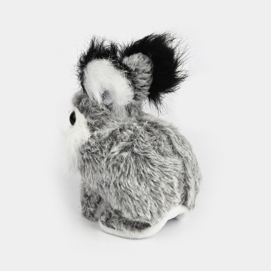 Sound Music & Walking Rabbit for Kids
