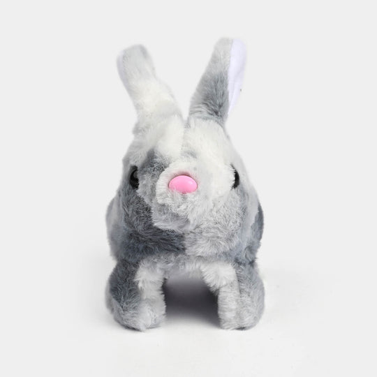 Sound Music & Walking Rabbit for Kids