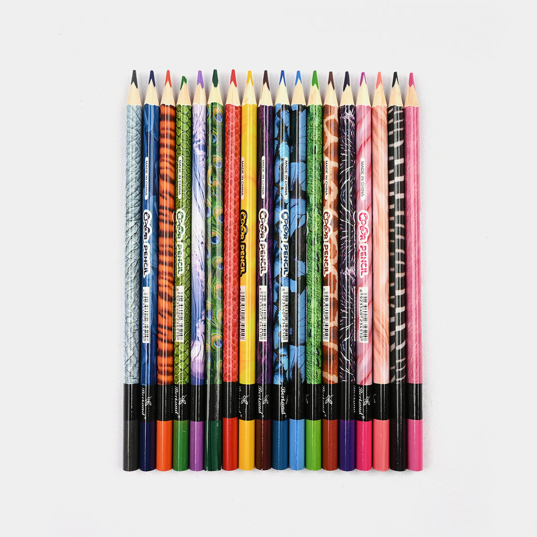 Vibrant Color Pencils
