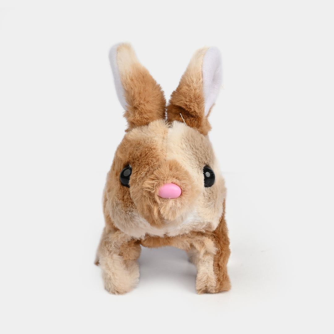 Sound Music & Walking Rabbit for Kids