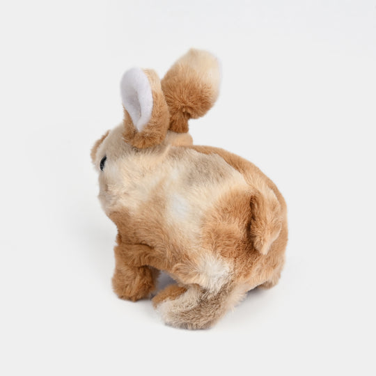 Sound Music & Walking Rabbit for Kids