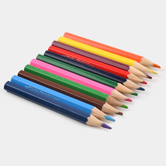 Color Pencil | 12PCs