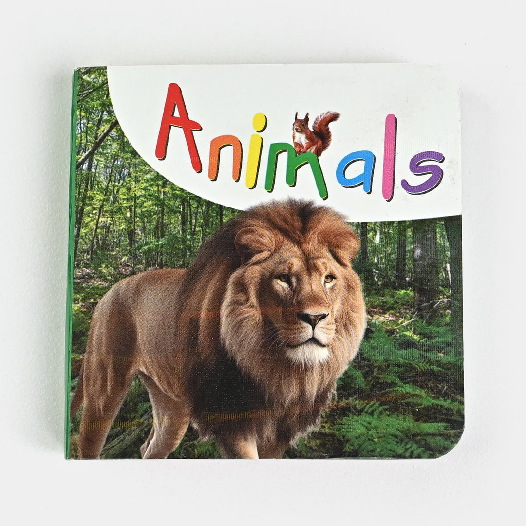 Educational Mini Board Book For Kids