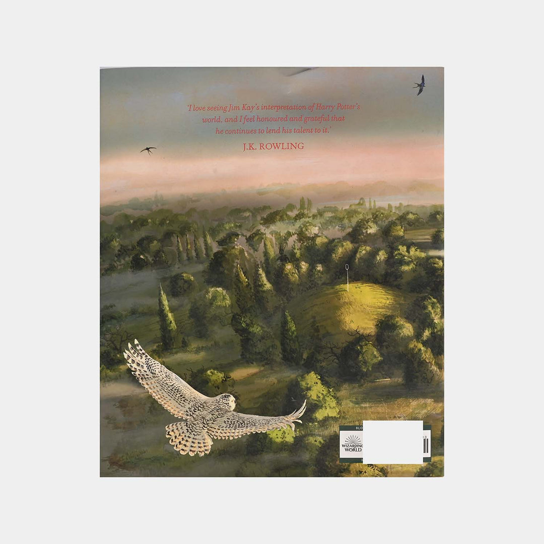 Harry Potter And The Chamber Of Secrets Novel Book