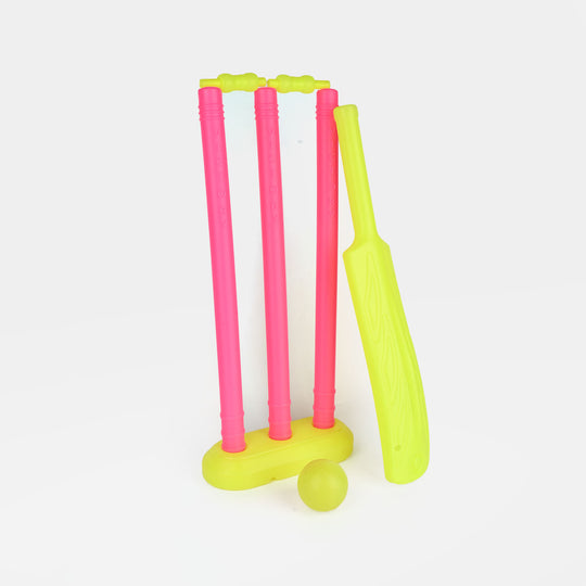 Kids Cricket Training Plastic Bat Ball Set