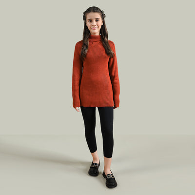 Teens Unisex Acrylic Turtle Neck Sweater-Rust