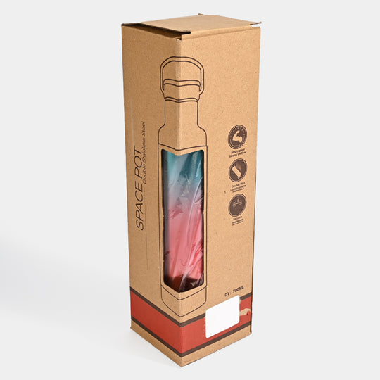 WATER BOTTLE STAINLESS STEEL | 700ml