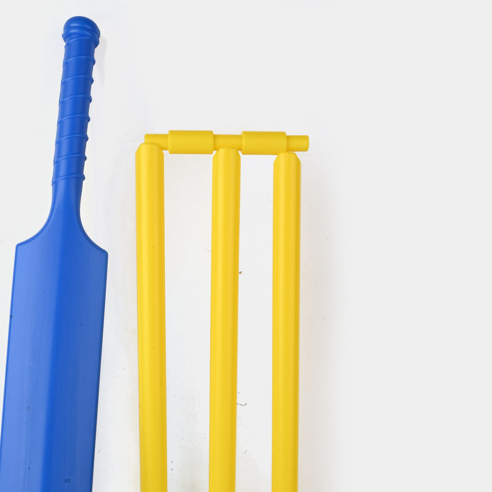 Kids Cricket Training Plastic Bat Ball Set
