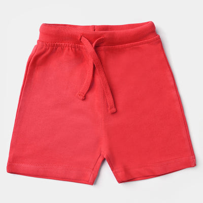 Infant Boys Cotton Terry Knitted Short Basic -B.Red