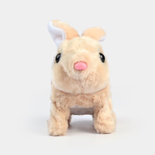 Walking Rabbit with Sound for Kids