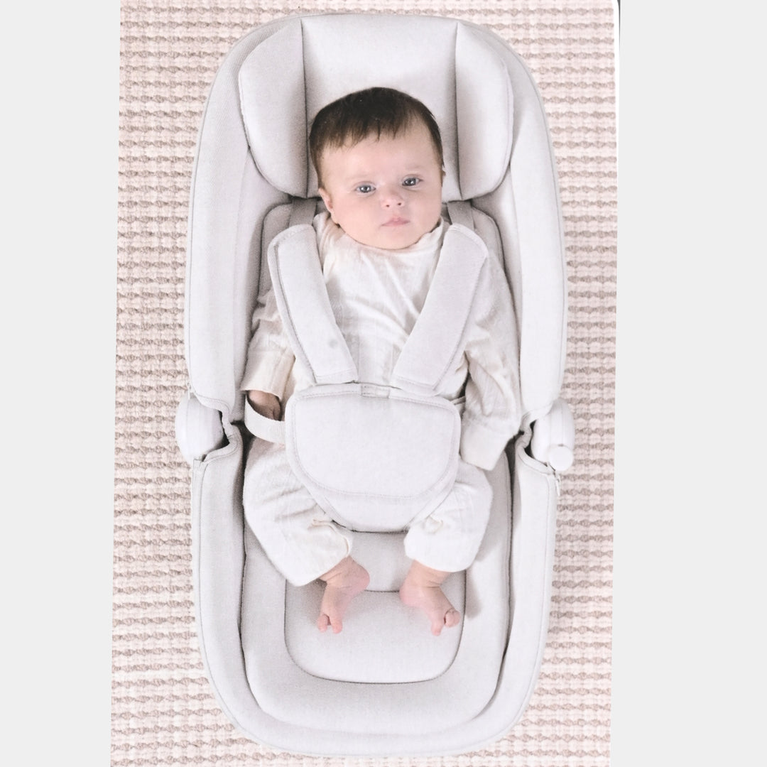 Infant Electric Swing- Mastela | 8911