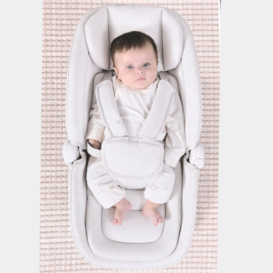 Infant Electric Swing- Mastela | 8911