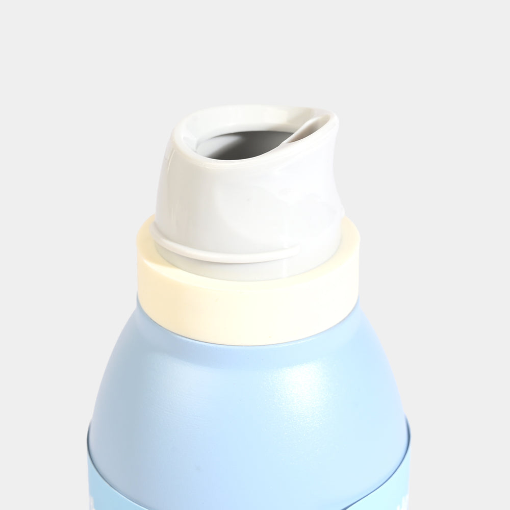 WATER BOTTLE STAINLESS STEEL | 600ML