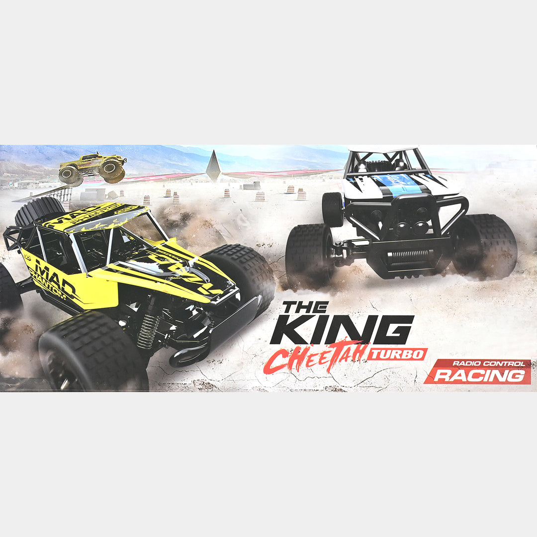 Remote Control Car – 2.4GHz Off-Road Beast