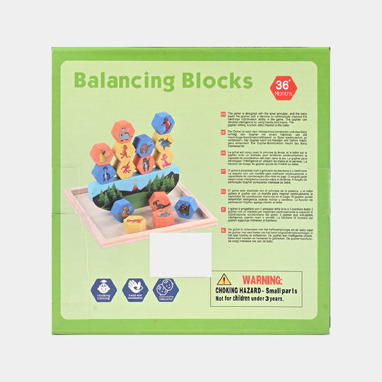 Wooden Balancing Blocks