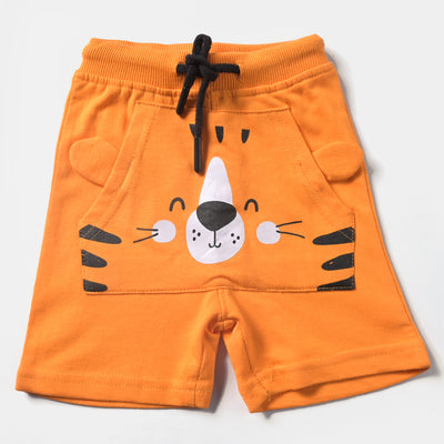 Infant Boys Cotton Terry Knitted Short Tiger-B.Marigold