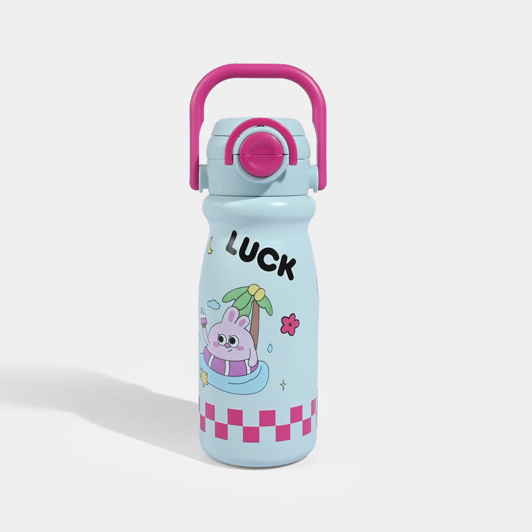 Stainless Steel Water Bottle | 650Ml