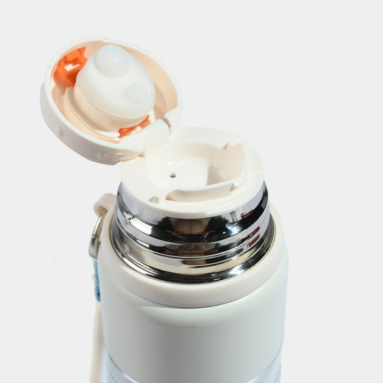 Stainless Steel Water Bottle | 500Ml