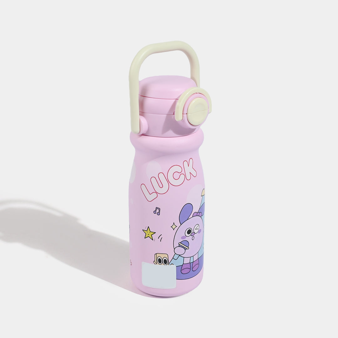 Stainless Steel Water Bottle | 650Ml