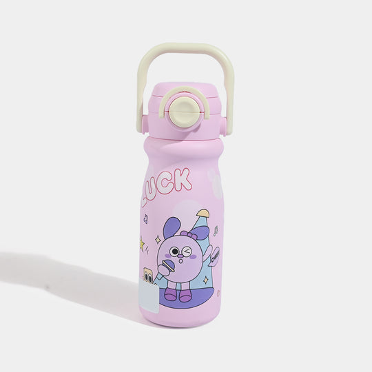 Stainless Steel Water Bottle | 650Ml