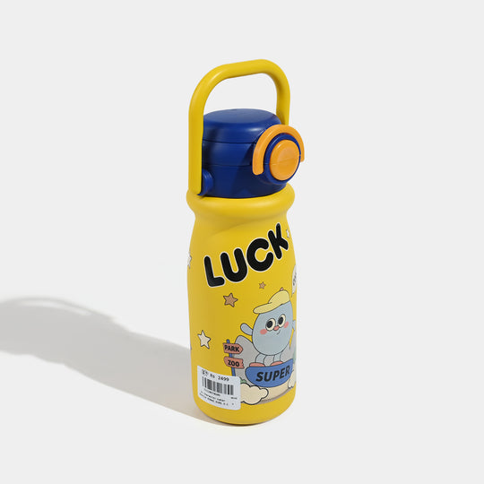 Stainless Steel Water Bottle | 650Ml