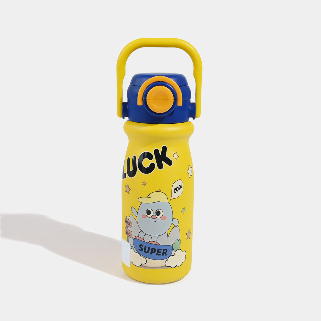 Stainless Steel Water Bottle | 650Ml