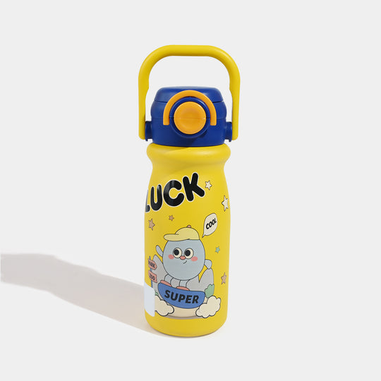 Stainless Steel Water Bottle | 650Ml