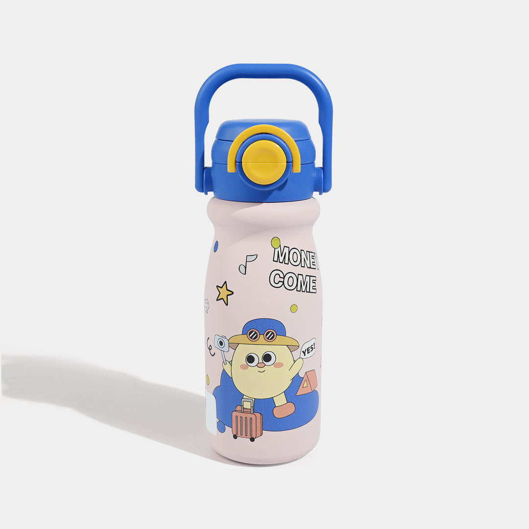 Stainless Steel Water Bottle | 650Ml